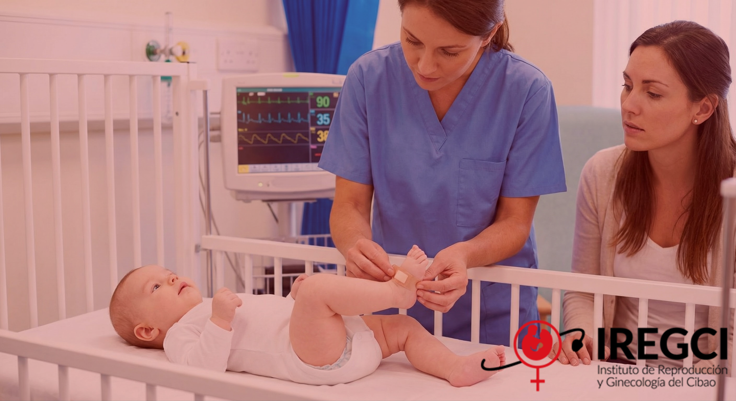 Gemini_Generated_Image_cjcphncjcphncjcp44