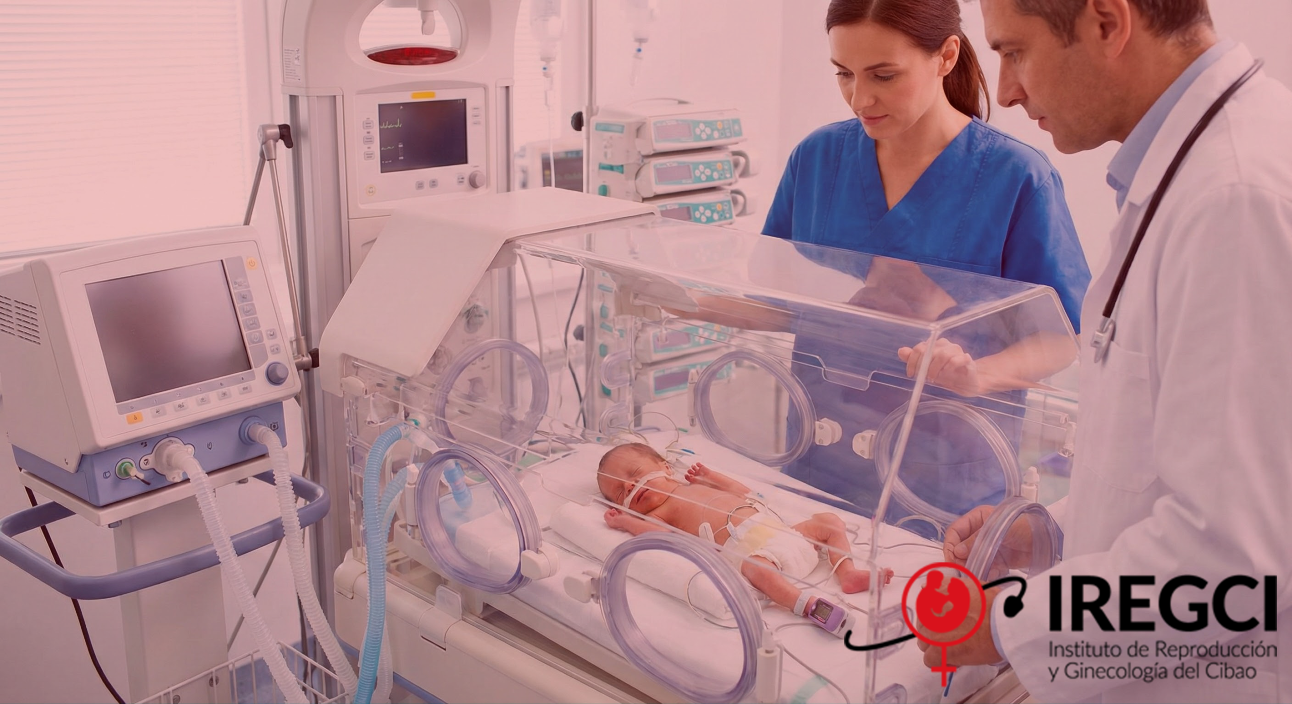 Gemini_Generated_Image_cjcphncjcphncjcp51